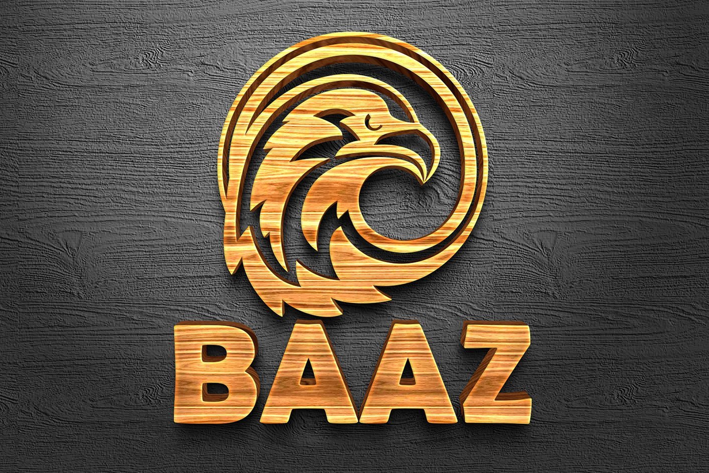 Logo Design